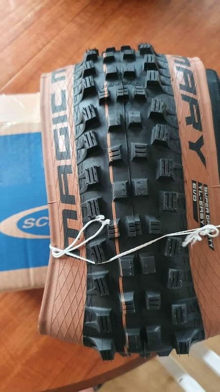 The Versatility of Magic Mary 29x2 6w Tires: From XC to Enduro